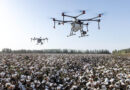 Where Will AgTech Investment Flow Next? Five Growth Themes Emerging in 2026