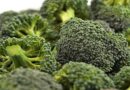 Brassicas Get New Orondis Vip Treatment