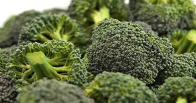 Brassicas Get New Orondis Vip Treatment