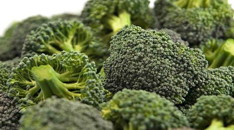 Brassicas Get New Orondis Vip Treatment
