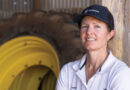 Sowing Is Complete For Winter Crops