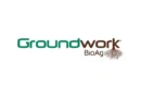 Groundwork BioAg Issues First Verified Carbon Credits Under Rootella Carbon® Program in the United States