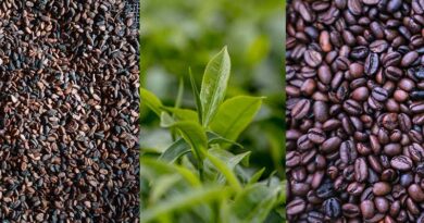A New FAO Report Examines How Shocks Affect Global Coffee, Cocoa And Tea Markets And Outlines Policy Options To Address Structural Vulnerabilities