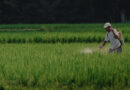 Agrochemicals Industry Redefined Growth, Geopolitics, and the Biological Shift
