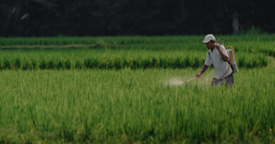 Agrochemicals Industry Redefined Growth, Geopolitics, and the Biological Shift