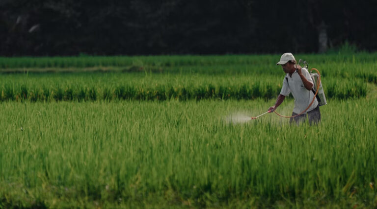Agrochemicals Industry Redefined Growth, Geopolitics, and the Biological Shift