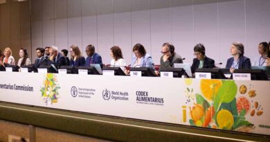 CAC49 / The Codex Family Meets To Adopt New Texts, Reflect, And Look Ahead