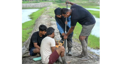 Can Shrimp Farming Help Bring Mangroves Back to the Sundarbans?
