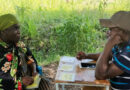 Card-Sorting Tool Helps Identify Tanzanian Farmers’ Preferred Rice Traits