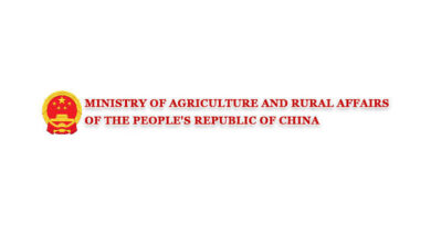 China Allocates Supplies, Experts To Support Flood Recovery In South China's Guangxi China Allocates Supplies, Experts To Support Flood Recovery In South China's Guangxi