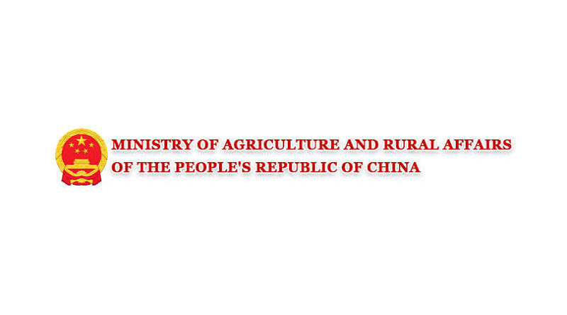 China Allocates Supplies, Experts To Support Flood Recovery In South China's Guangxi
