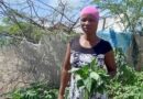 Circular Water And Food Systems For Livelihoods And Peacebuilding In Refugee-hosting Landscapes
