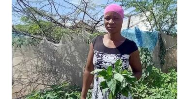 Circular Water And Food Systems For Livelihoods And Peacebuilding In Refugee-hosting Landscapes