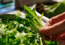 Delivering Value Across The Fresh Produce Chain In Asia