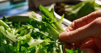 Delivering Value Across The Fresh Produce Chain In Asia