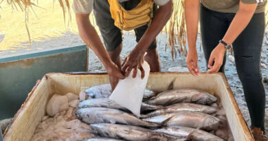 Empowering Fisheries Actors at the Municipality Level in Timor-Leste