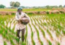 FAI Backs NIPU-2026, Says Policy Will Support Domestic Urea Production