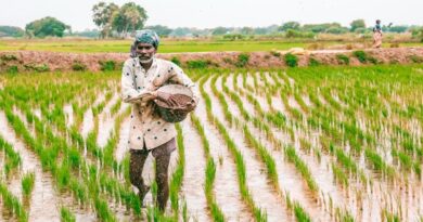 FAI Backs NIPU-2026, Says Policy Will Support Domestic Urea Production FAI Backs NIPU-2026, Says Policy Will Support Domestic Urea Production