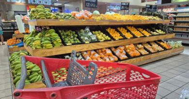 FAO-WHO 49th Session Of The Codex Alimentarius Commission Adopts New Standards FAO-WHO 49th Session Of The Codex Alimentarius Commission Adopts New Standards