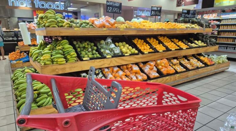 FAO-WHO 49th Session Of The Codex Alimentarius Commission Adopts New Standards