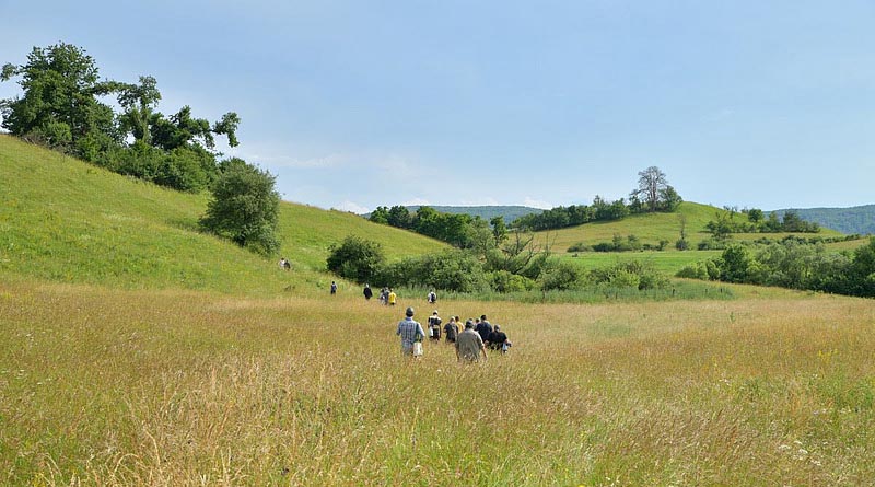 Farmers From Across Europe Discuss Biodiversity And Economic Viability In Romania