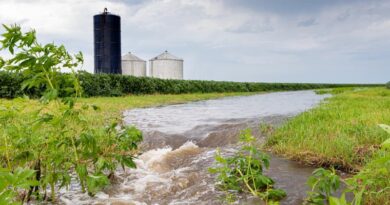 Federal Trial Begins in Center for Food Safety Lawsuit Challenging River Pollution from Industrial Dairy