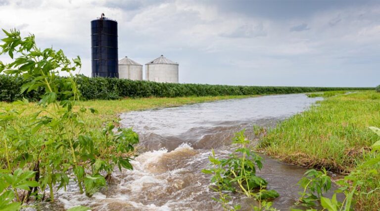 Federal Trial Begins in Center for Food Safety Lawsuit Challenging River Pollution from Industrial Dairy
