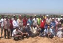 Field Day Highlights Sustainable Cactus Cochineal Management In Morocco