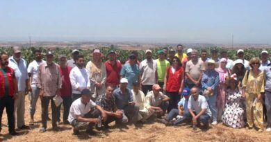 Field Day Highlights Sustainable Cactus Cochineal Management In Morocco