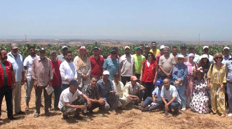 Field Day Highlights Sustainable Cactus Cochineal Management In Morocco