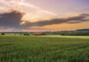 Financial Assistance for Natural Farming