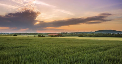 Financial Assistance for Natural Farming