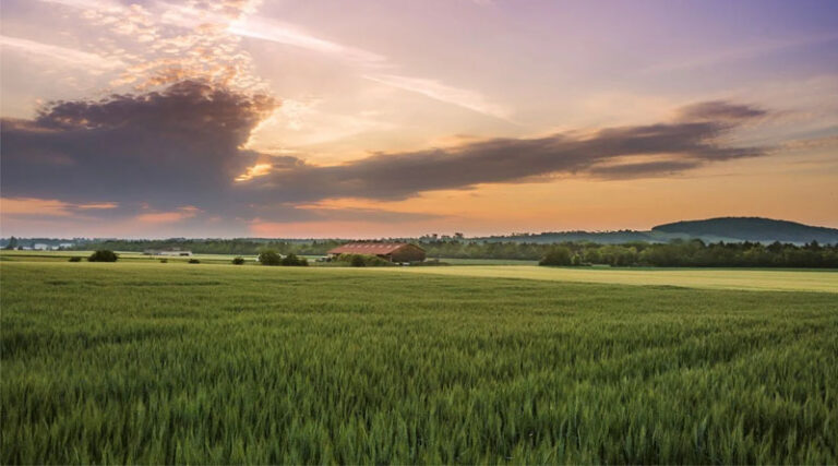 Financial Assistance for Natural Farming