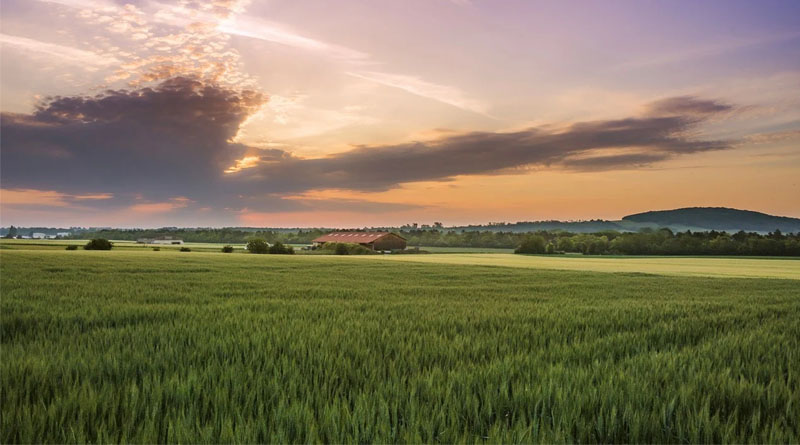 Financial Assistance for Natural Farming