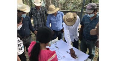 Guatemala’s Farmers Are Meeting The Climate Moment With Reliable Climate Information