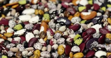 Healthier And More Sustainable Diets Could Reshape Global Agriculture