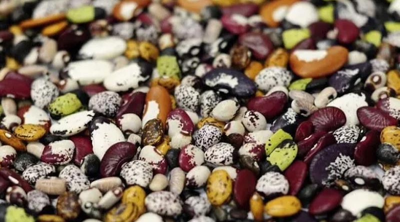 Healthier And More Sustainable Diets Could Reshape Global Agriculture