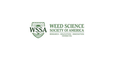 High Rye Seeding Rates Prove Effective for Weed Suppression High Rye Seeding Rates Prove Effective for Weed Suppression