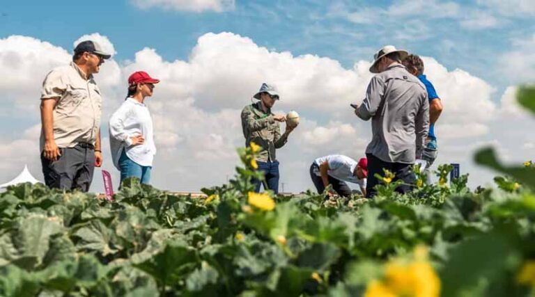 Highlights from the Global Melon & Watermelon Event 2026