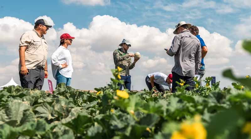 Highlights from the Global Melon & Watermelon Event 2026