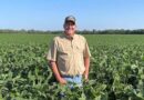 How CNH Precision Technology Is Helping Family Farms Turn Data Into Better Decisions