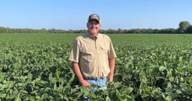 How CNH Precision Technology Is Helping Family Farms Turn Data Into Better Decisions