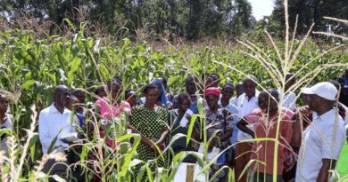 How On-farm Experimentation Is Transforming Agricultural Research In Kenya How On-farm Experimentation Is Transforming Agricultural Research In Kenya