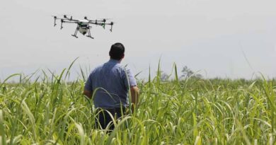 How Surfactants and Adjuvants Are Reshaping Crop Protection How Surfactants and Adjuvants Are Reshaping Crop Protection