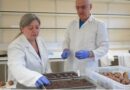Hutton Scientific Services Launches Commercial Potato Virus Testing Service For The UK Seed Potato Industry