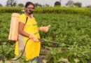 India Approves 13 New Agrochemical Registrations under 9(3) in 473rd Registration Committee Meeting