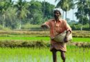 India Cabinet Approves National Investment Policy for Urea 2026