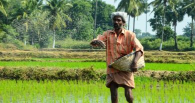 India Cabinet Approves National Investment Policy for Urea 2026 India Cabinet Approves National Investment Policy for Urea 2026