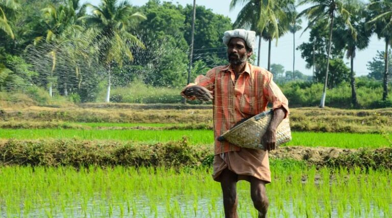 India Cabinet Approves National Investment Policy for Urea 2026