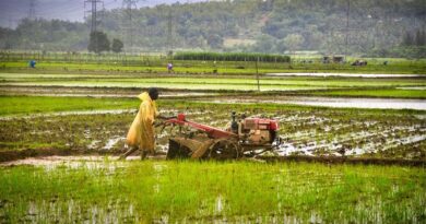 India Kharif Sowing Trails Last Year by 42.28 Lakh Hectares